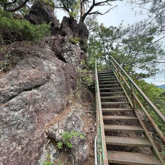 1425段より、いったい何段登ったかしら