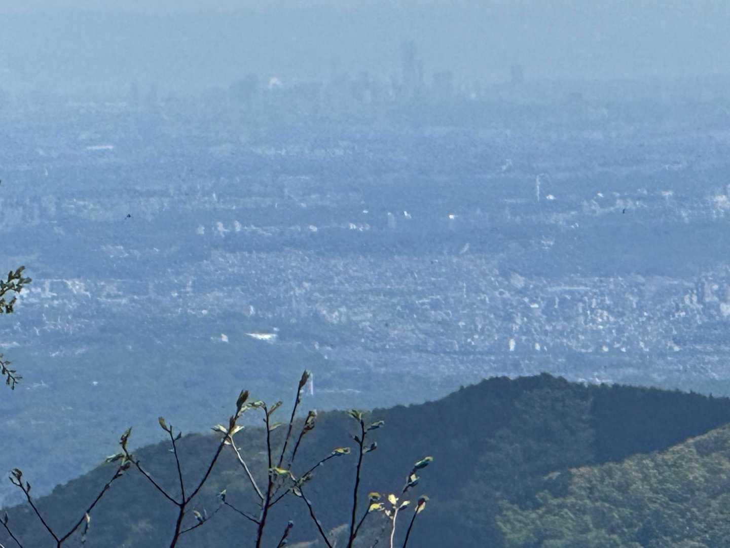 都心方面👀