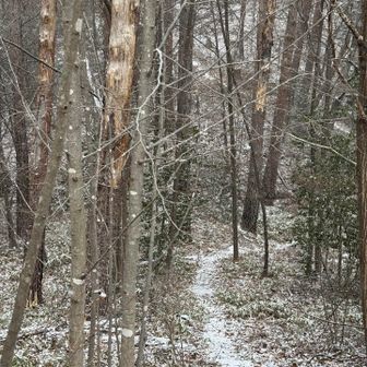 気持ちのいい小径が続く