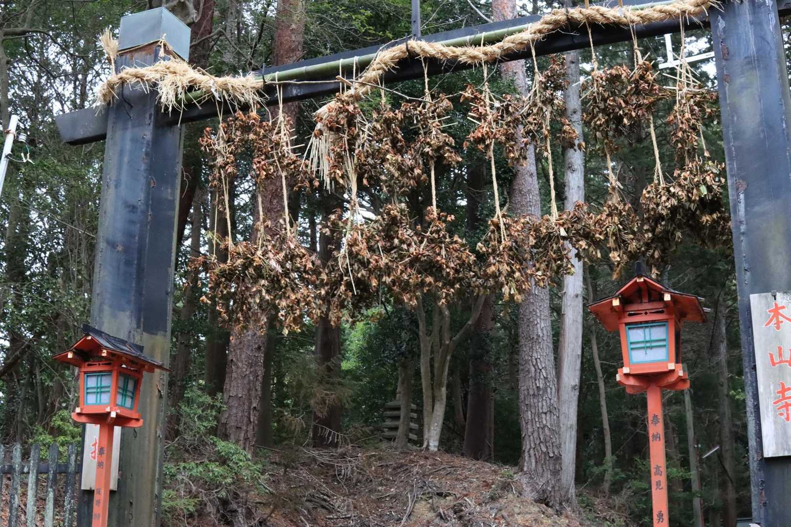 福寿草は残念でしたがナイストレイルありがとうございました🙇