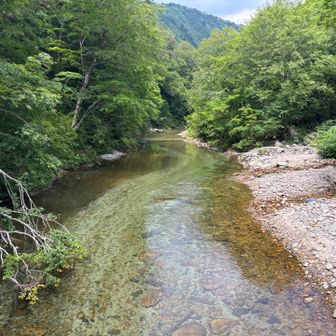 キレイな川。携帯落としそうで怖い。