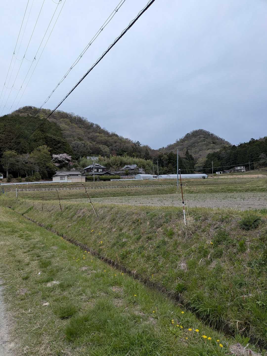 左が清水山、右が行者山やな🫡