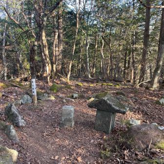 山頂はもちろん展望なし