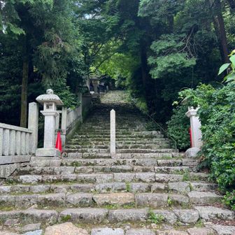 歩きにくい階段　でも　よく沢山の石並べたなぁ