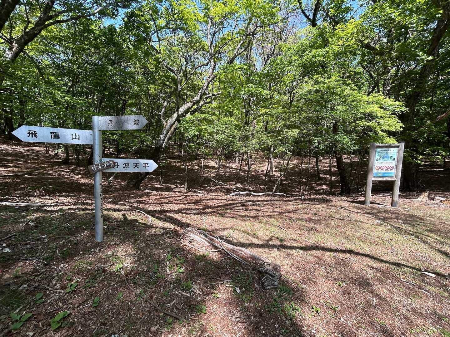 サオラ峠
ここから丹波へ下る下山はかなりの急斜面で厳しいらしい
疲れた足に少しでも歩きやすい道をとなり、丹波天平経由で下山することにした