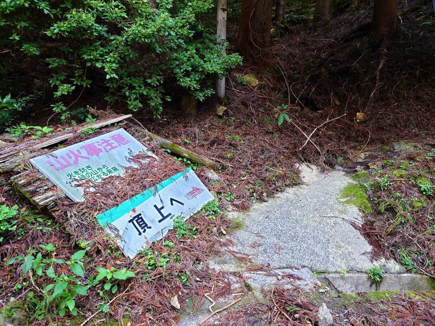 看板寝てます😅