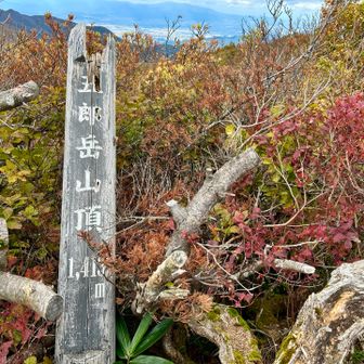 山頂到着