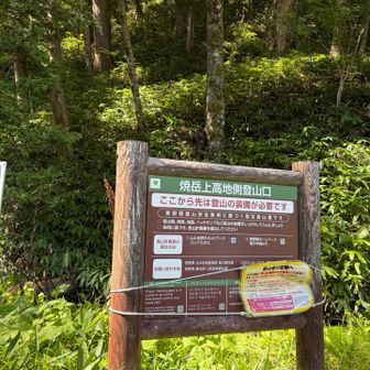 上高地側登山口に出ましたー！
たくさん歩いたよー💦
まだ河童橋まで！
