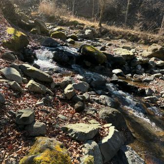 キャンプ場はお休みのようで誰もおらず。