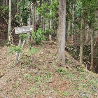 この先、昇り口の所は所謂登山口からの道は急なくだりのつづら折れに大きな倒木が重なってたり、全てが不明瞭な急斜面だったりで、登りで使った道の方が全然安全だと思った