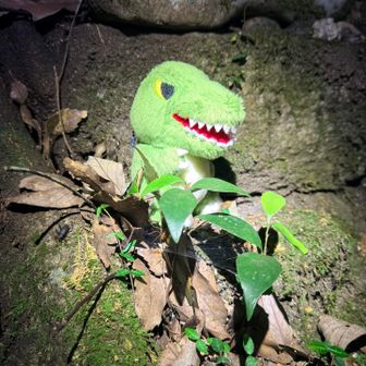 恐竜🦖出ました　ハッキリは分かりませんが10メートルぐらいはあったと🤭