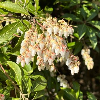 🎵直接触れないように