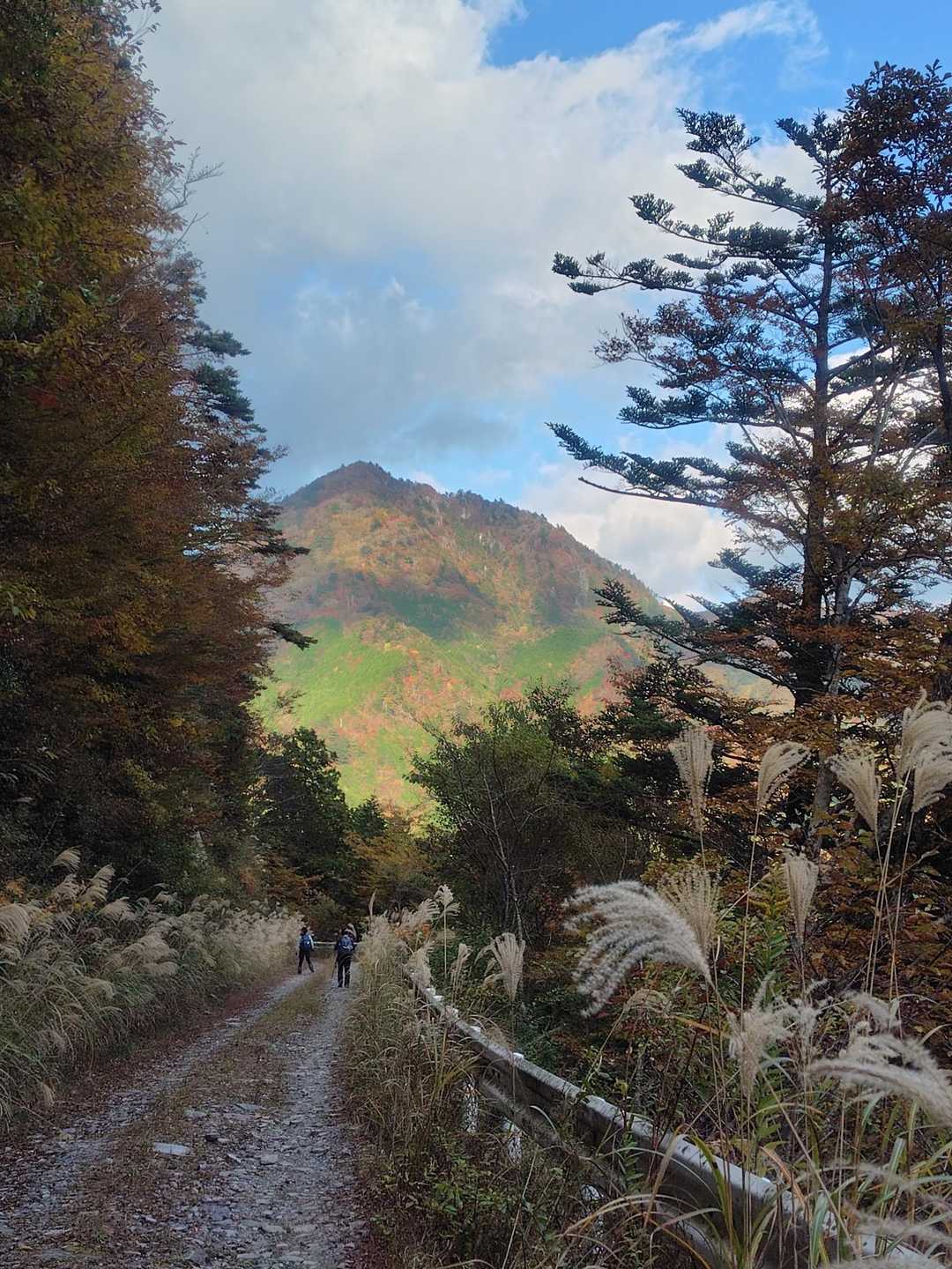 大座礼山登山口-井野川越-大座礼山-大田尾越 周回コースの写真