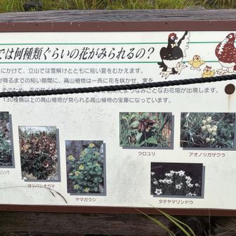 ふんふん