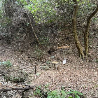 紀泉アルプス・飯盛山・ボンデン山 要所の分岐に案内があります