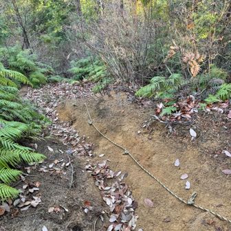 ここまでロープ使わなくても来れたけど、この場所だけはロープ掴んで後ろ向きに降りました‥
写真で見るより斜面キツいよー💦