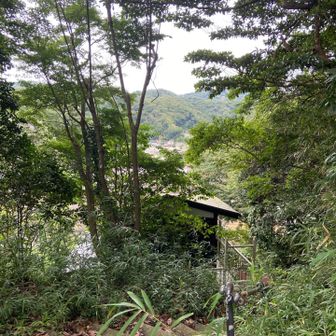 隠れ写真スポット