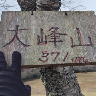 ここまではテープあるが踏み跡はあったりなかったり、分かりにくいとこもある。