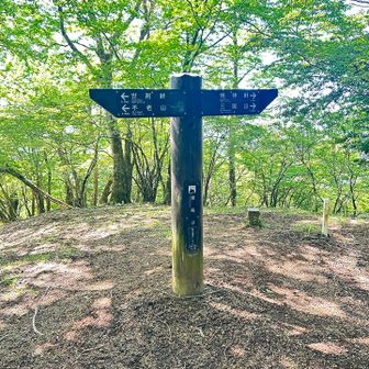 バスで標高を稼いだので比較的緩やかな道です