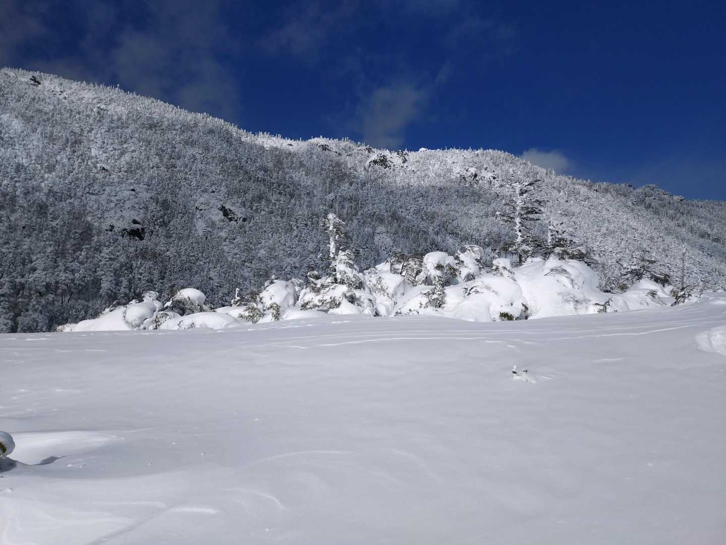 八ヶ岳ブルー　◯◯ブルーは八ヶ岳が本家とか。