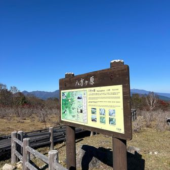 帰りは大間々駐車場から大間々自然歩道を通って小間々台駐車場まで帰りました🙂