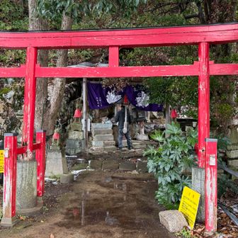 桂蔵坊さん🦊⛩️
本年もどうぞよろしくお願いいたします🙏