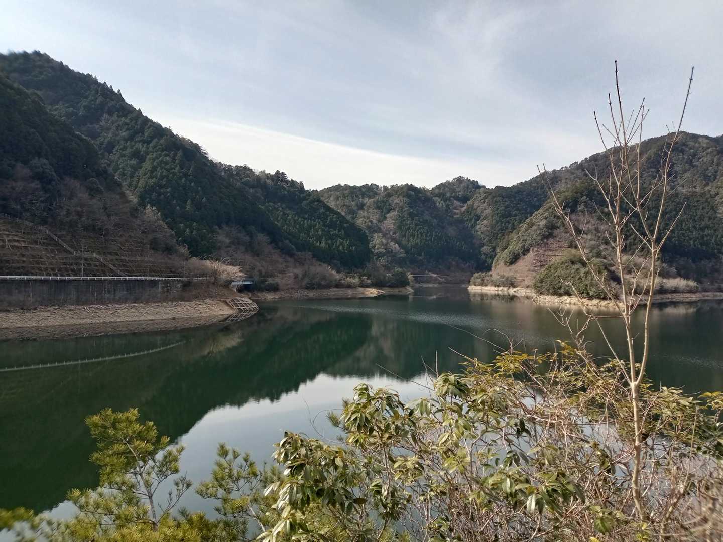先週に引き続き、大島ダムの朝霧湖に来ました
どこから見ても湖面が深緑色でキレイです✨