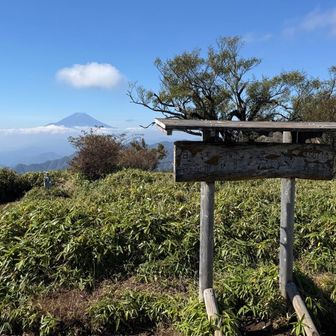 丹沢山に到着🙌