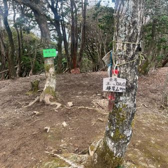 山の名前の札四つありました。多過ぎやろ😆