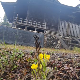 真弓神社到着⛩️