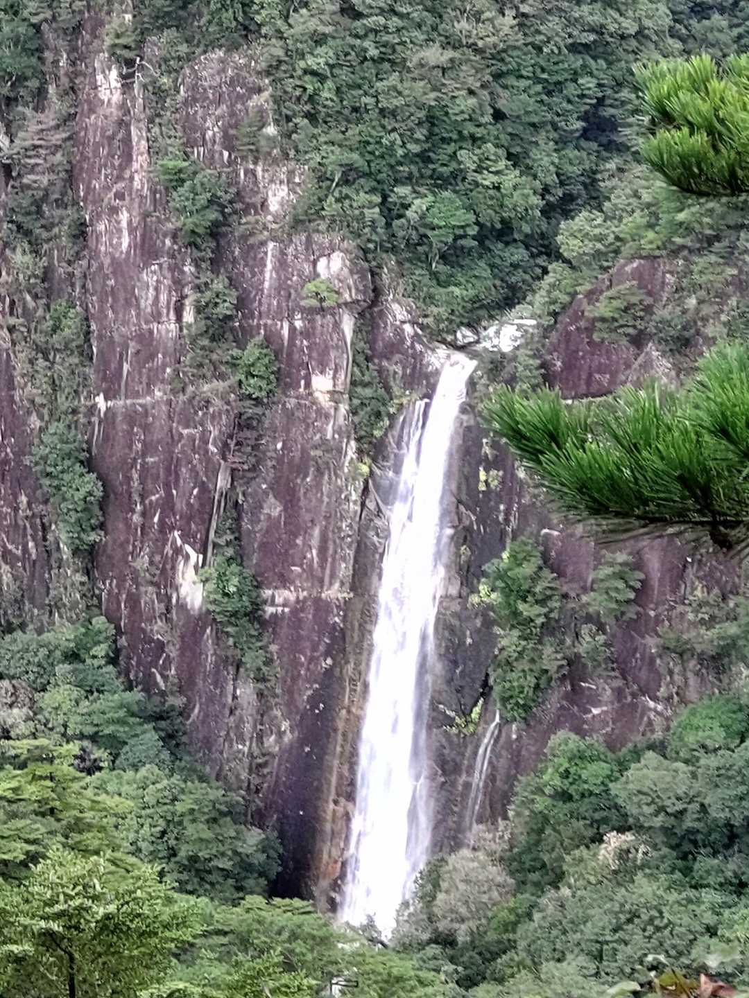 行縢山登山口-雌岳 往復コースの写真