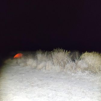 坊ガツルはテントがポツポツ。かなりの好き者やな😆‼️　自分なら寒すぎて絶対眠れん😅