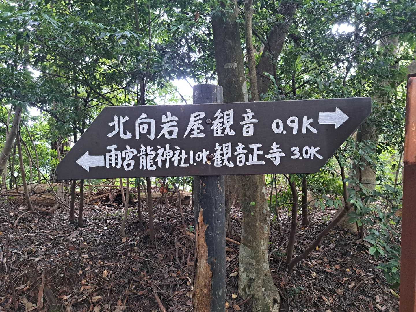 雨宮龍神社へ