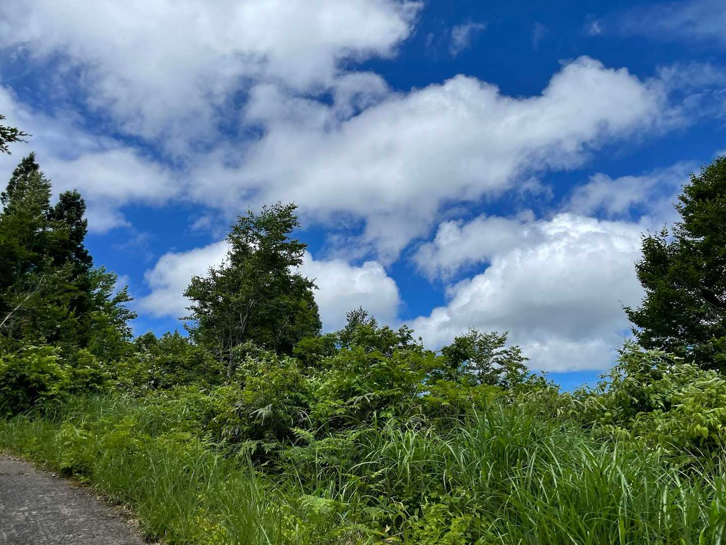 爽やかな空🟦☁️