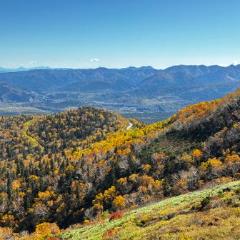 登山口を振り返る