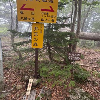ようやく最初の山