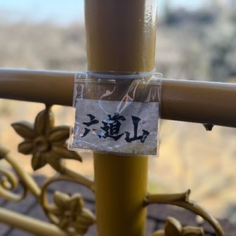 初めて行きました😅