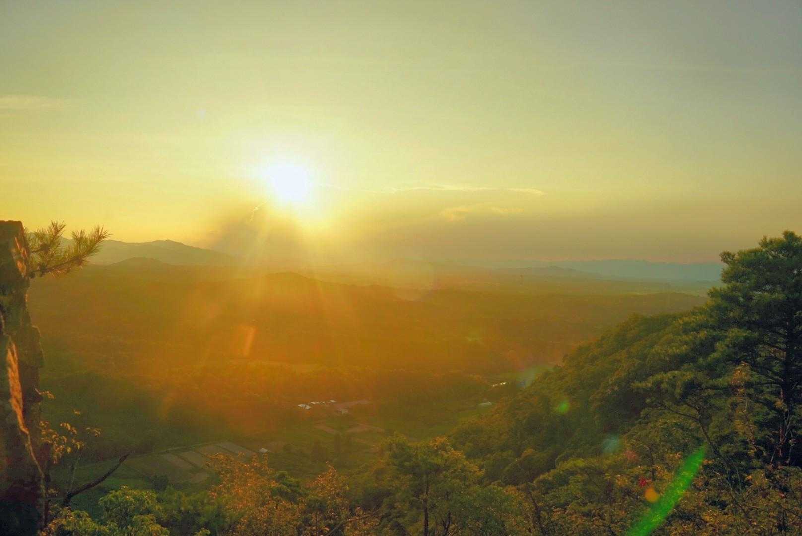 正法寺山登山口-絆の御神木-正法寺山-正法寺山最高点 往復コースの写真