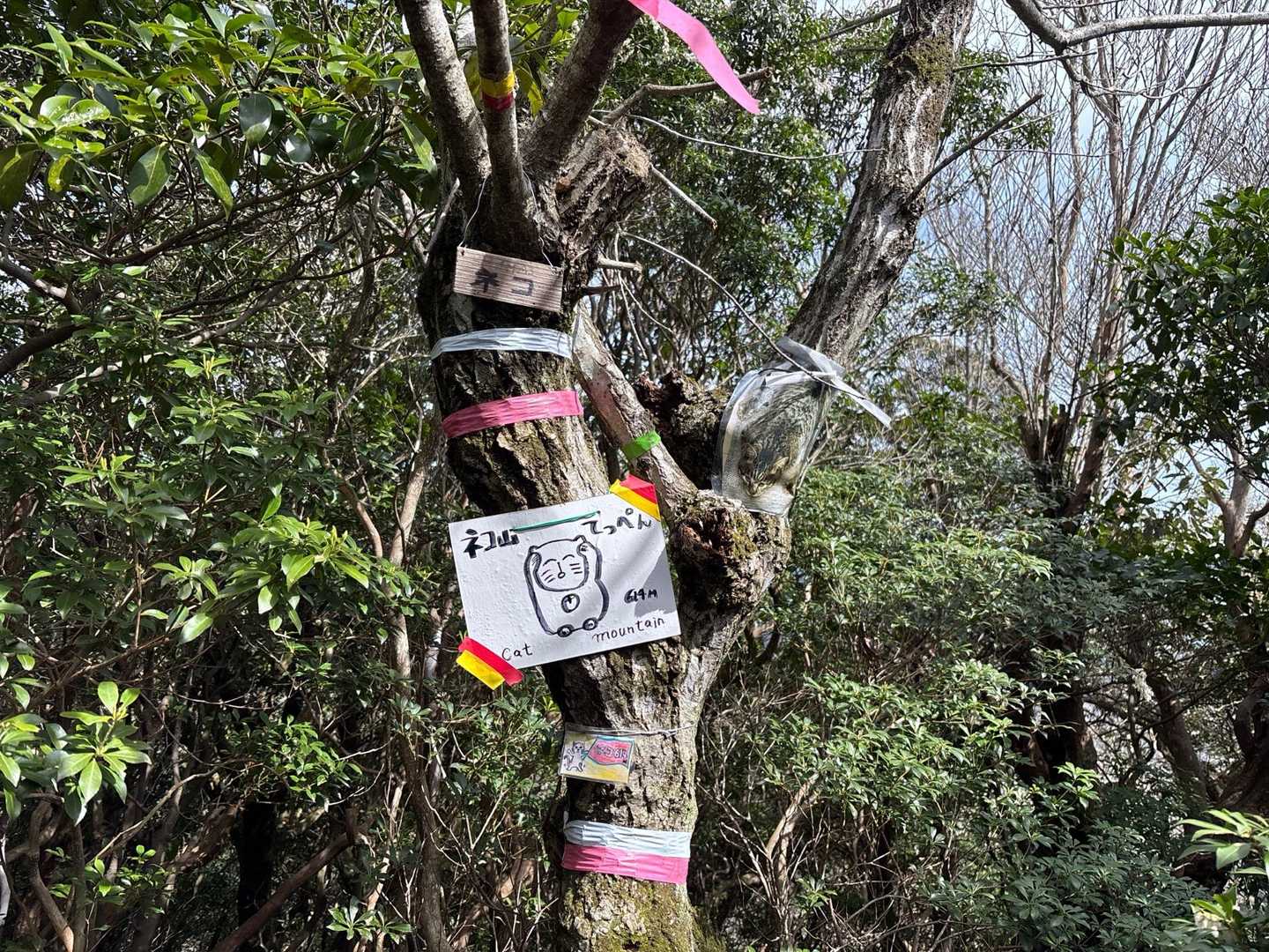 ネコ最高点-ネコ-笠岳-菰野富士 周回コースの写真
