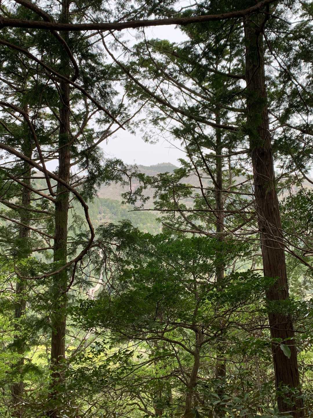 右手には天ケ森、通称「なっちょ」
楽団引退して時間できたら、この辺りの山々をじっくりと巡りたい。
