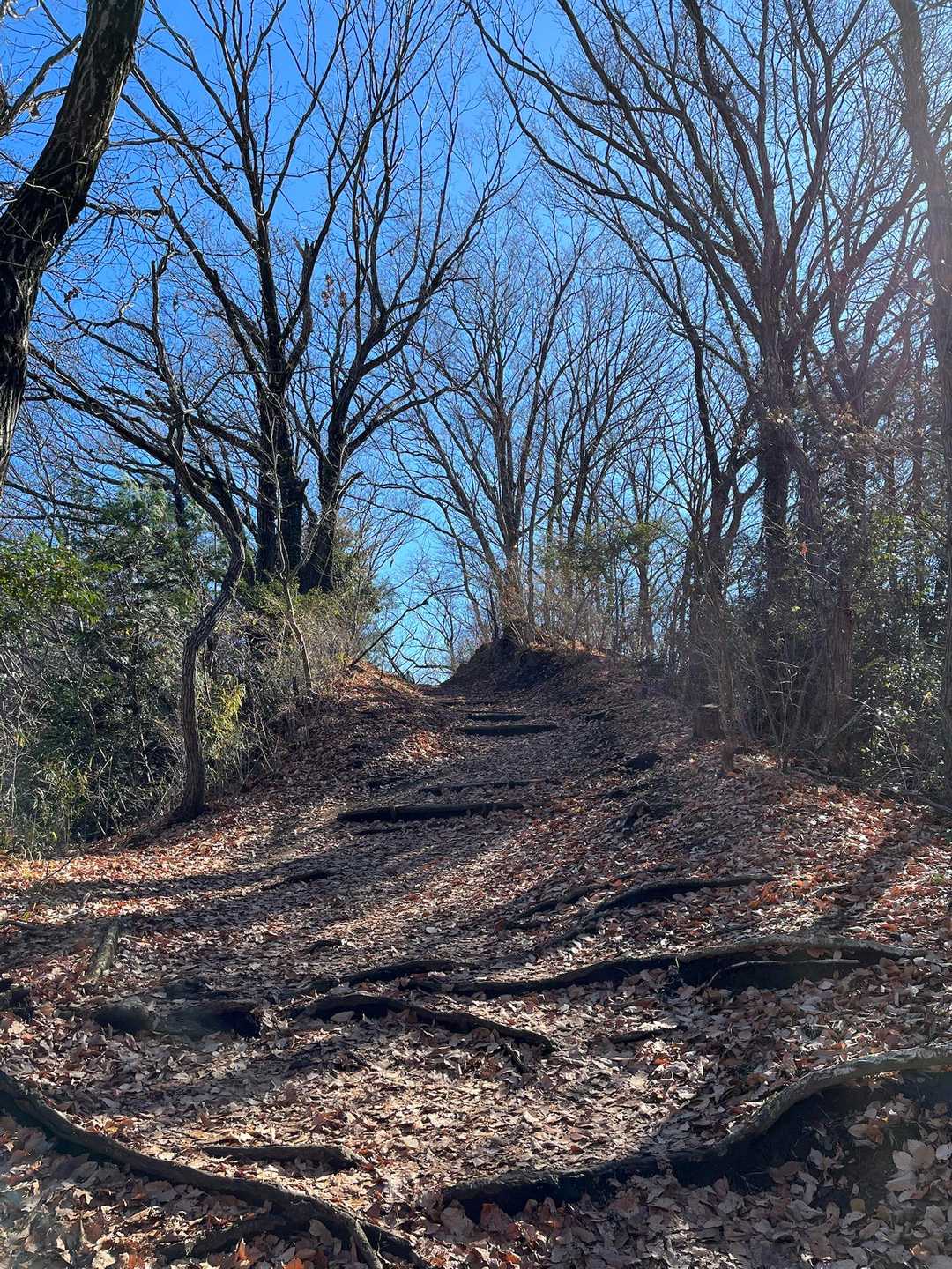 吾妻山⛰️経由、鶴巻温泉駅に向かいました。
歩いている人も増えて、明るくて安心なのに、、、ここらが、熊🐻目撃の、多発地帯⚠️