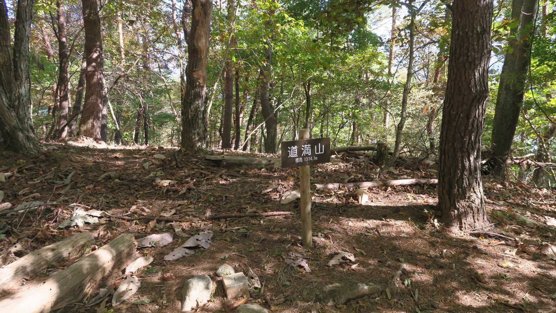 道満山の写真