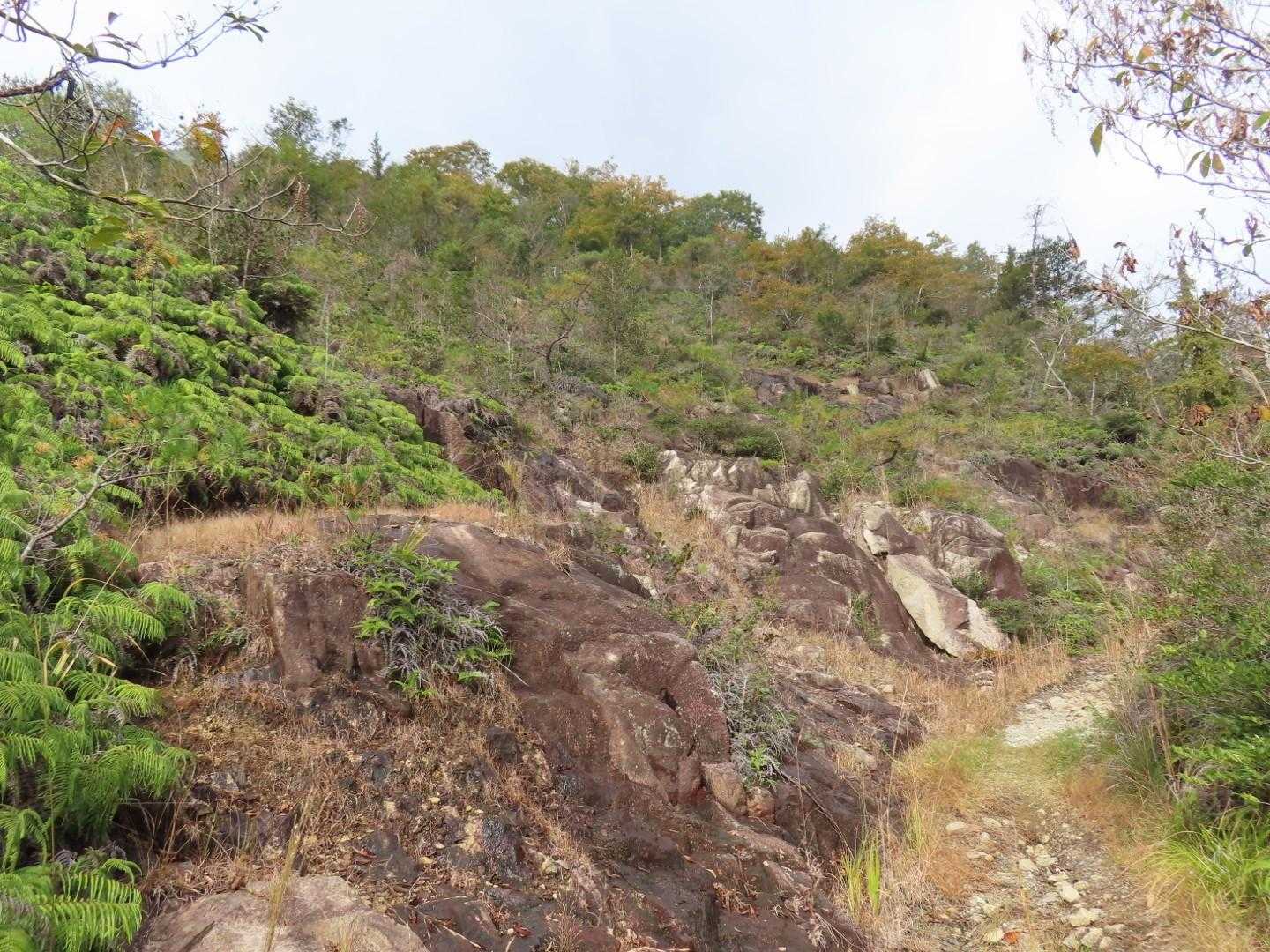 鏡山 往復コースの写真