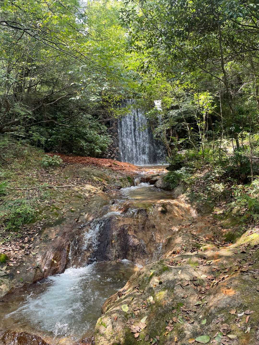 綺麗でしょ