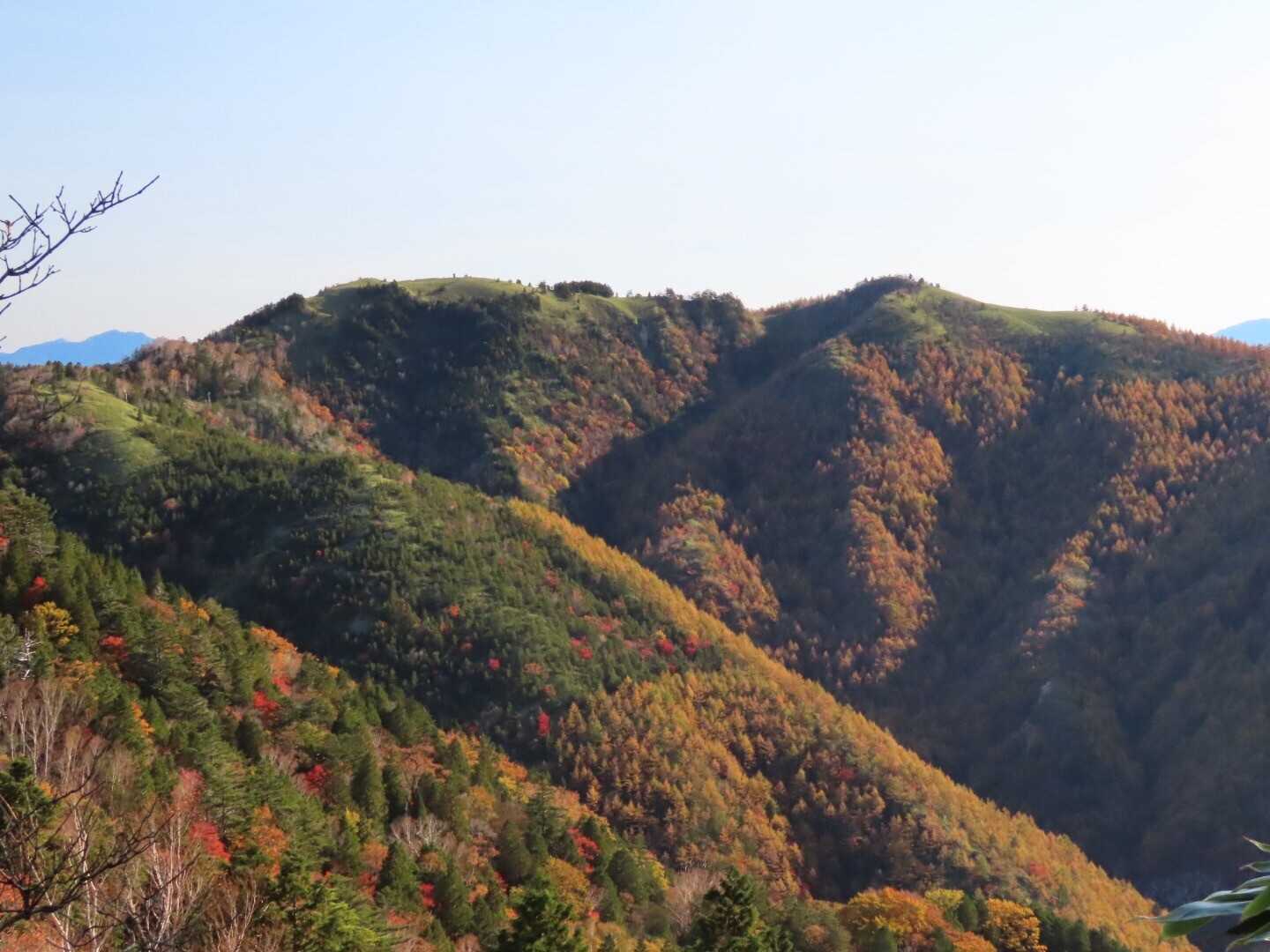 千両山の写真