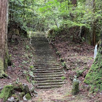立派な広い石段を登ったが、何もない⁉️