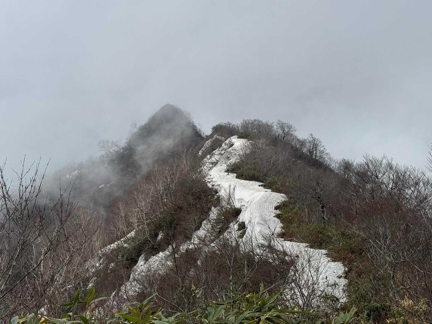 奥裾花自然園入口-今池湿原入口・中西山登山口-中西山-東山 往復コースの写真