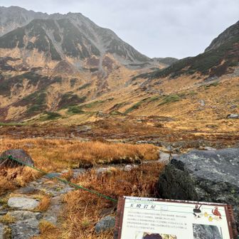 今回、雄山に1番近いスポットから愛でた立山。草紅葉と共にずっと眺めても飽きません〜