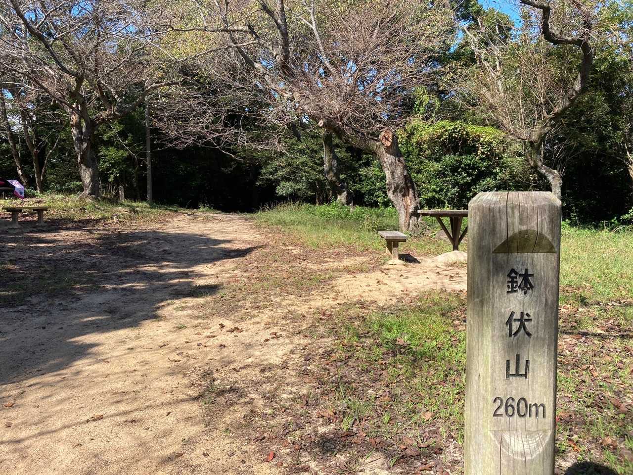 山頂はベンチもあり、休憩場所になっていました。