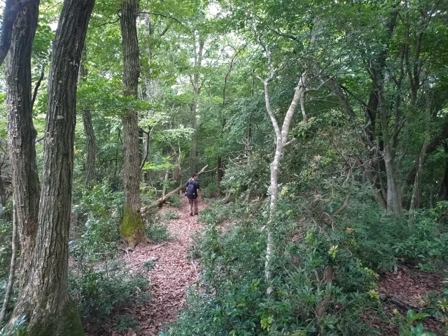 鏡山遊歩道マップ-鏡山登山口-鏡山 往復コースの写真